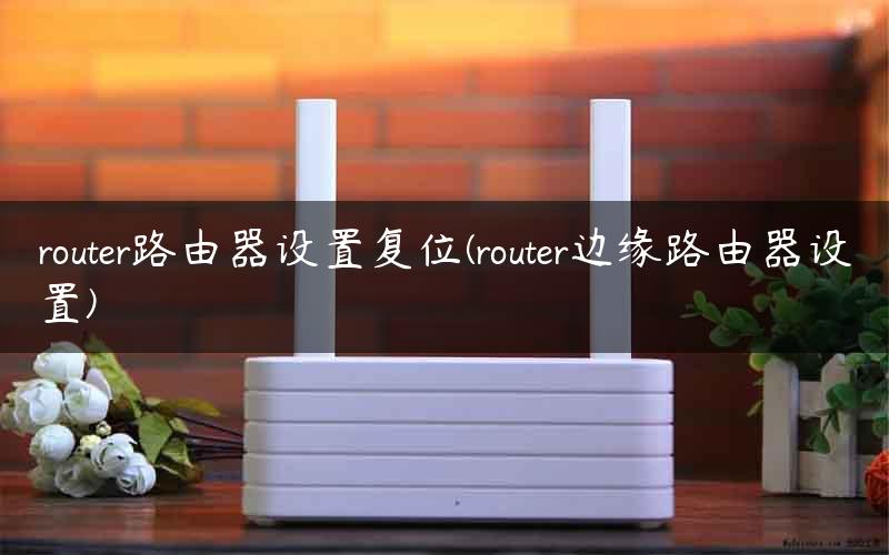router路由器设置复位(router边缘路由器设置)