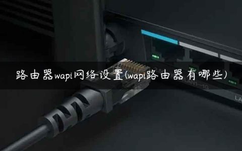 路由器wapi网络设置(wapi路由器有哪些)