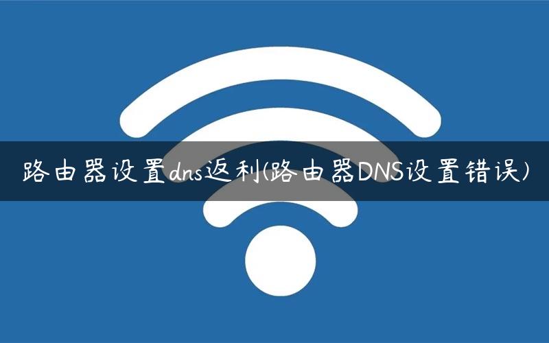 路由器设置dns返利(路由器DNS设置错误)